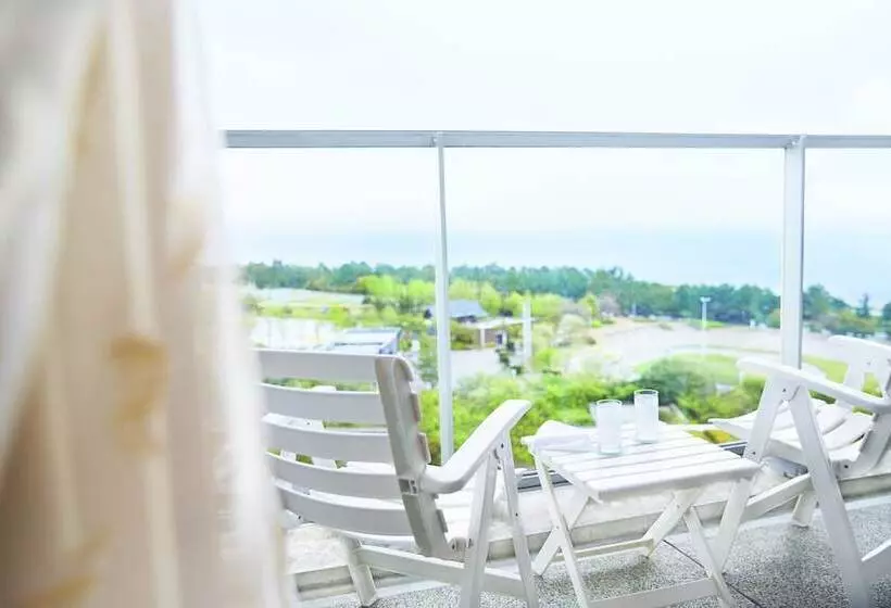 デラックスルーム, Grand Nikko Awaji