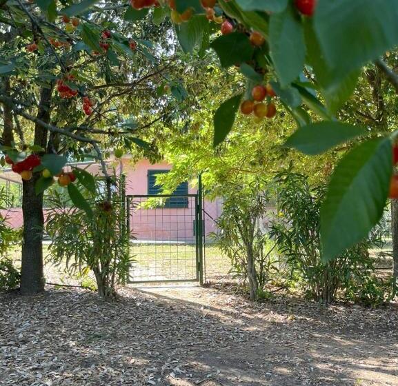 דירת שני חדרים, La Casa Rosa