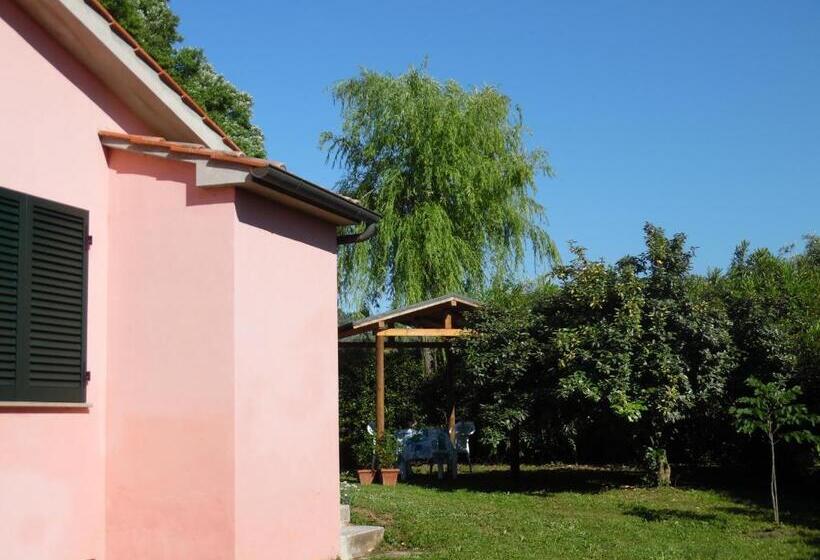 דירת חדר, La Casa Rosa