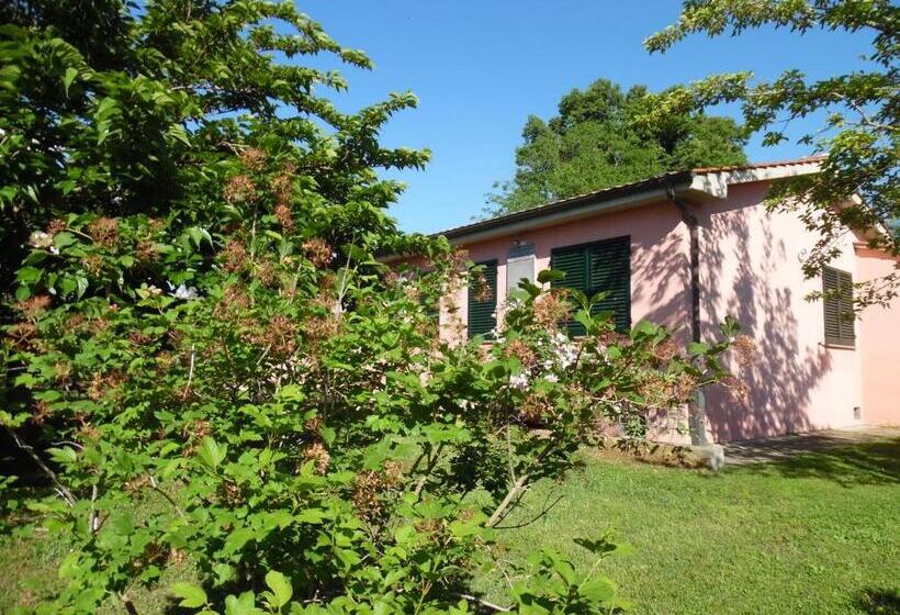 דירת חדר, La Casa Rosa