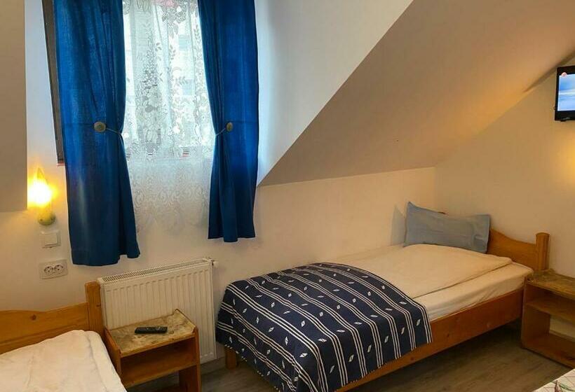 غرفة قياسية, Pensiune Turist