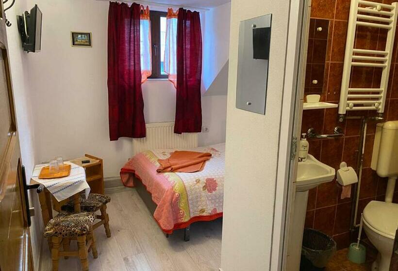 غرفة قياسية فردية, Pensiune Turist