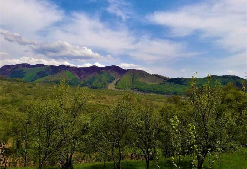 منزل غرفة نوم واحدة, Casa Din Piatra