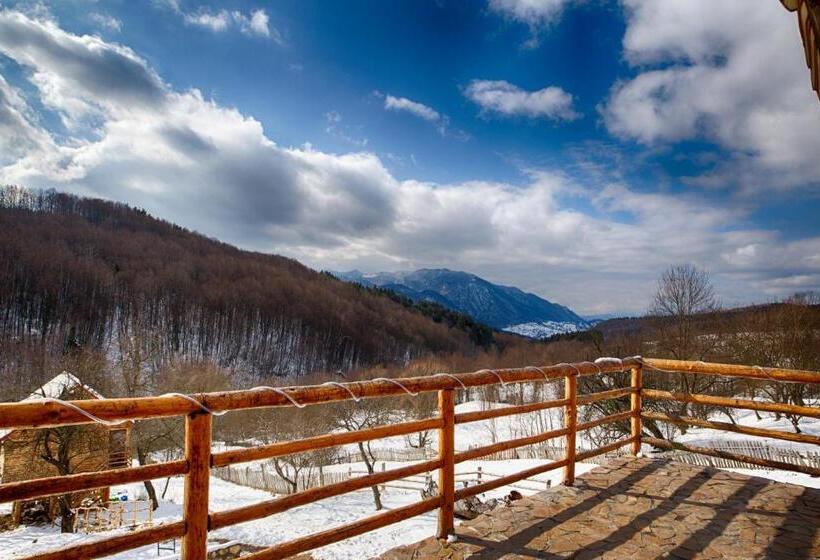 غرفة قياسية حمام مشترك, Casa Din Piatra