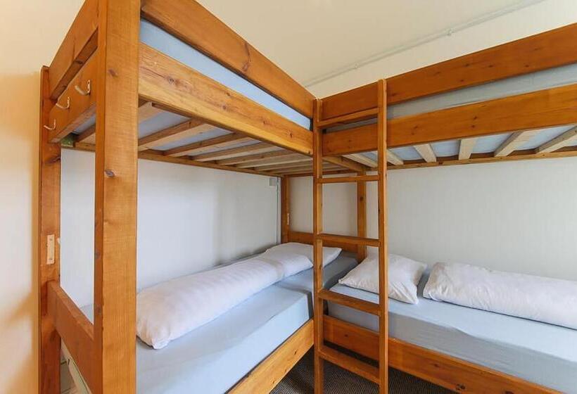 اتاق استاندارد چهار تخته, Reef Lodge