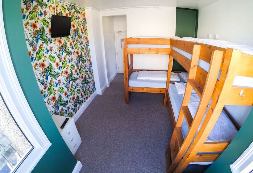 اتاق استاندارد چهار تخته, Reef Lodge