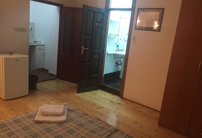 آپارتمان عادی 1 خوابه, Neni Apartments