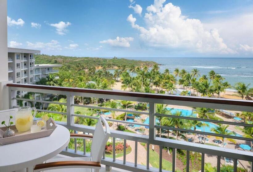 ویلای 1 خوابه, Hyatt Vacation Club At Hacienda Del Mar