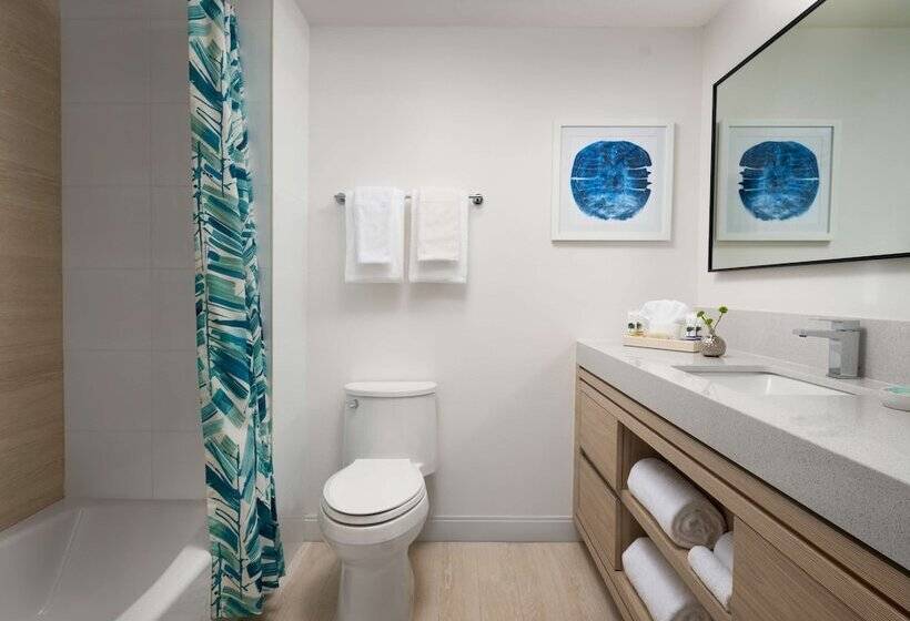 استودیوی استاندارد, Hyatt Vacation Club At Hacienda Del Mar