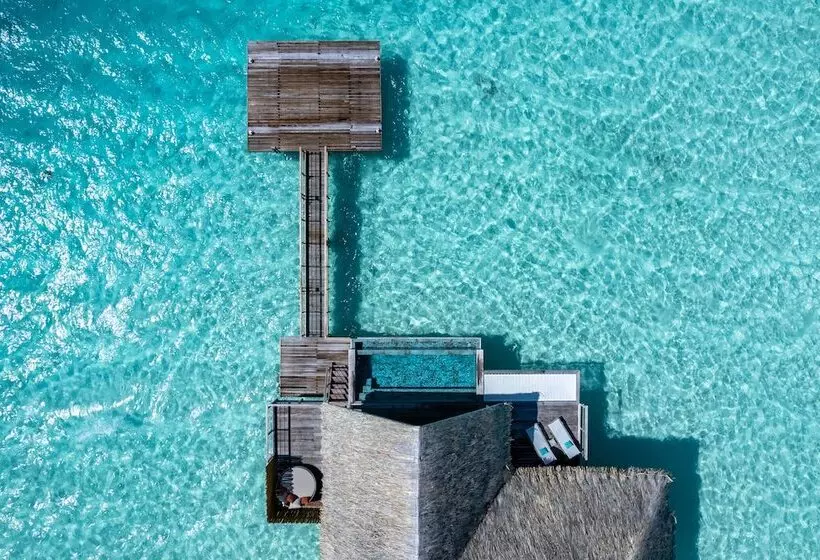 سوییت, Le Bora Bora By Pearl Resorts