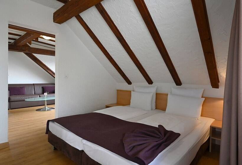 Quarto Estandar, Olympia Hotel Zurich