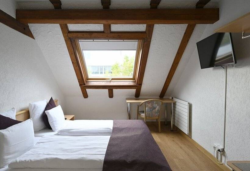 اتاق استاندارد, Olympia Hotel Zurich