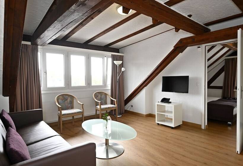 Quarto Estandar, Olympia Hotel Zurich