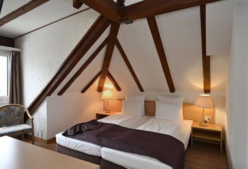 اتاق استاندارد, Olympia Hotel Zurich