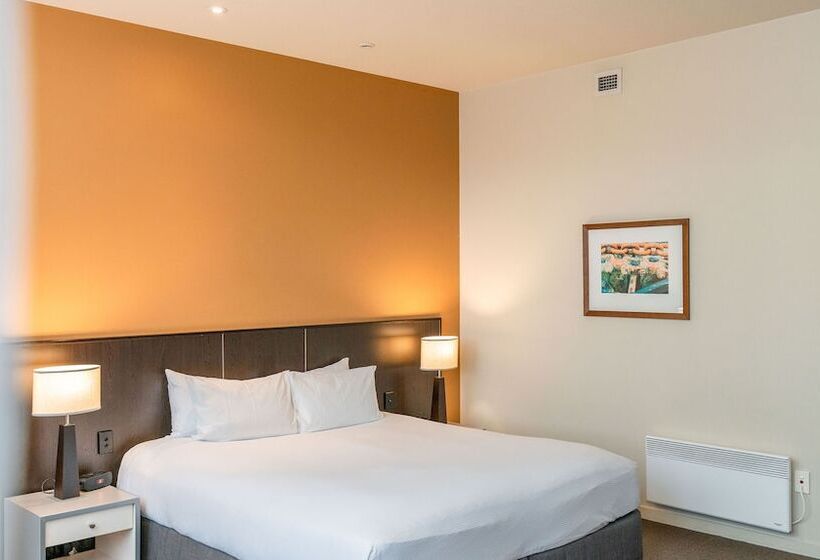 수피리어 룸, Scenic Hotel Dunedin City