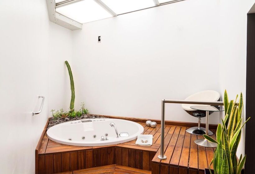 اتاق سوپریور, Spa La Casa Del Rector Almagro