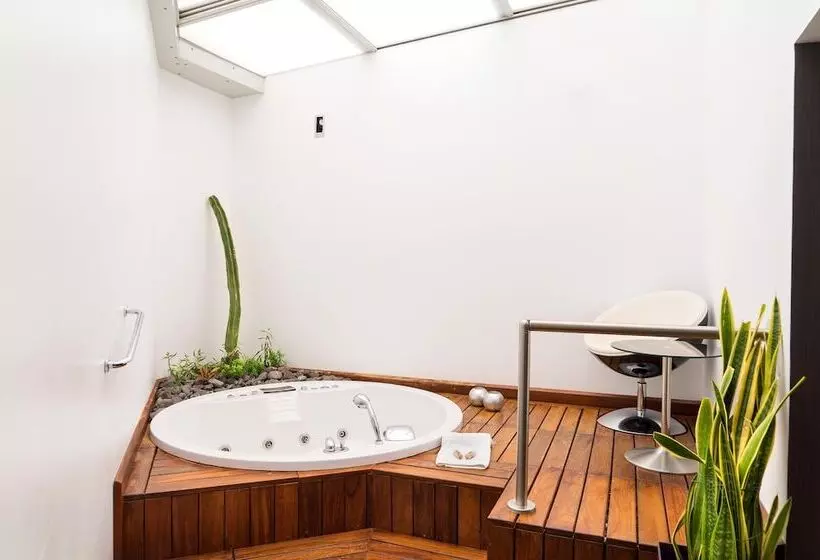 اتاق سوپریور, Spa La Casa Del Rector Almagro