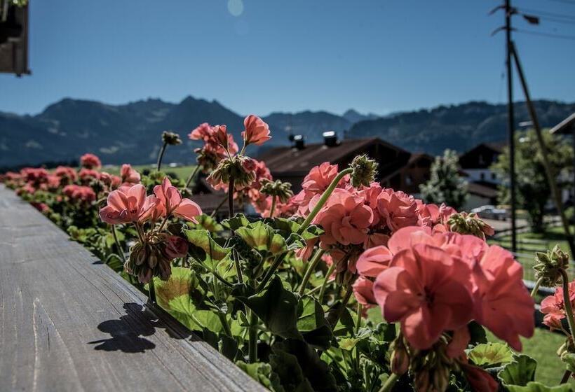 Апартаменты Comfort 2 Спальни, Alpenhaus Steiner