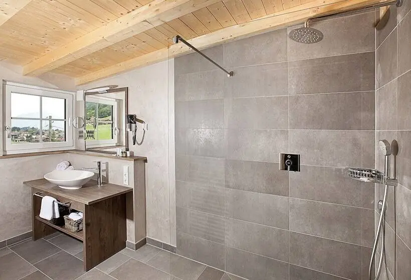 1ベッドルームのデラックスアパートメント, Alpenhaus Steiner
