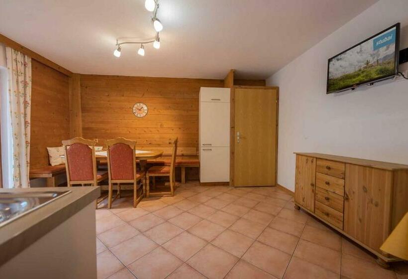 2 Sovrumslägenhet med Balkong, Haus Steinbock