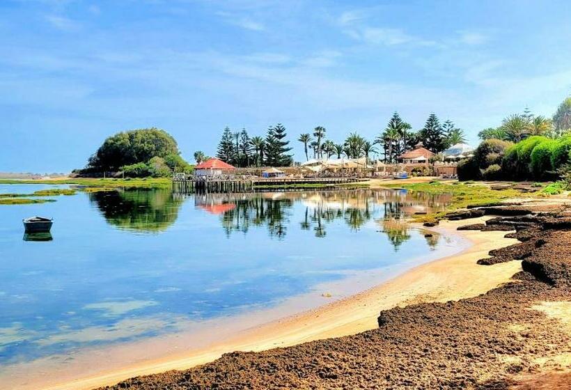 آپارتمان 1 خوابه با تراس, Maison De La Lagune