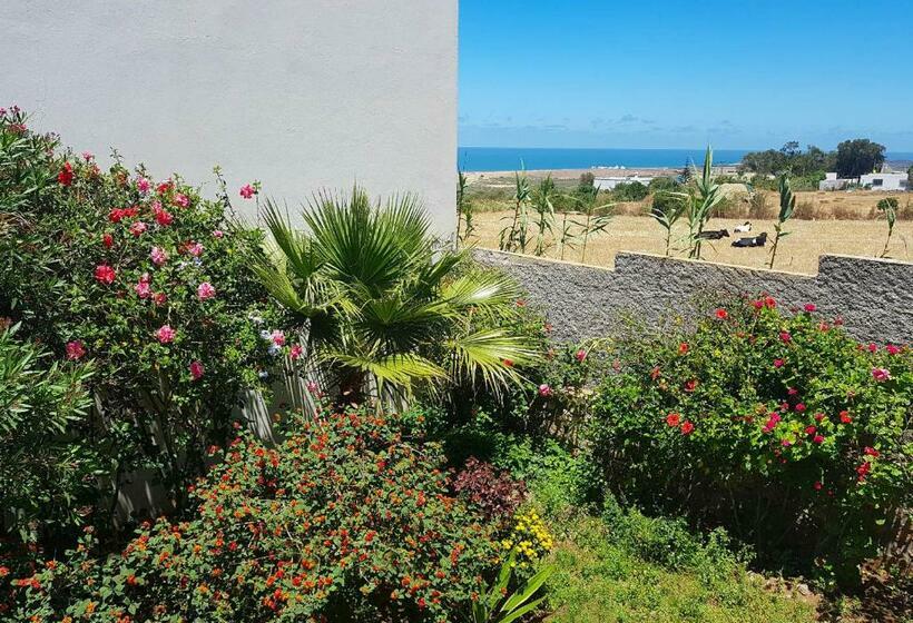 آپارتمان 1 خوابه با تراس, Maison De La Lagune