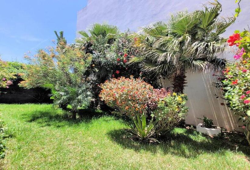 آپارتمان 1 خوابه با تراس, Maison De La Lagune