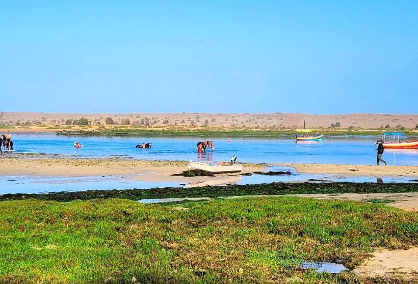 استودیوی استاندارد با چشم‌انداز دریا, Maison De La Lagune