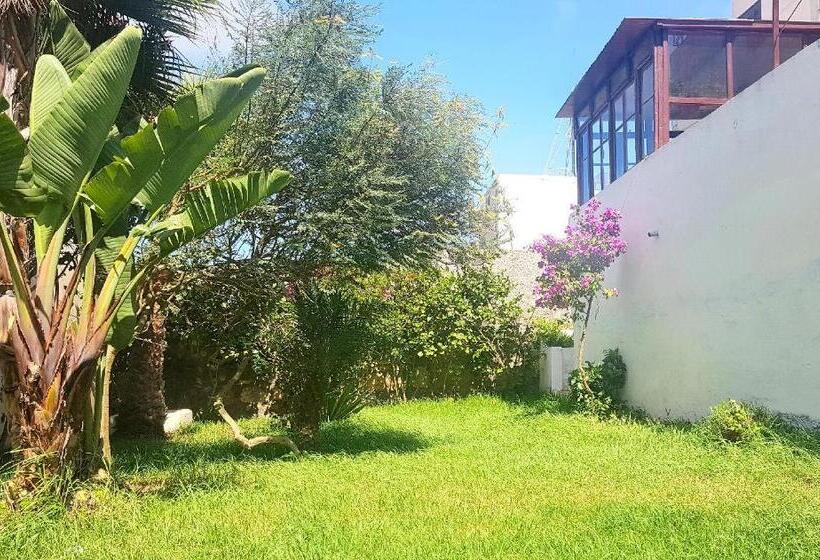 テラス付き１ベッドルームアパートメント, Maison De La Lagune