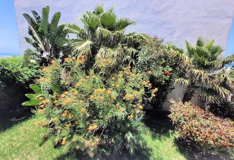 آپارتمان 1 خوابه با تراس, Maison De La Lagune