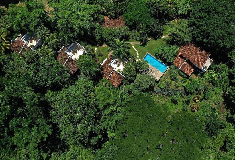 Вилла Premium 1 Спальня, Casa Frangipani