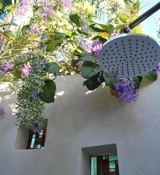 ویلا پریمیوم 1 خوابه, Casa Frangipani