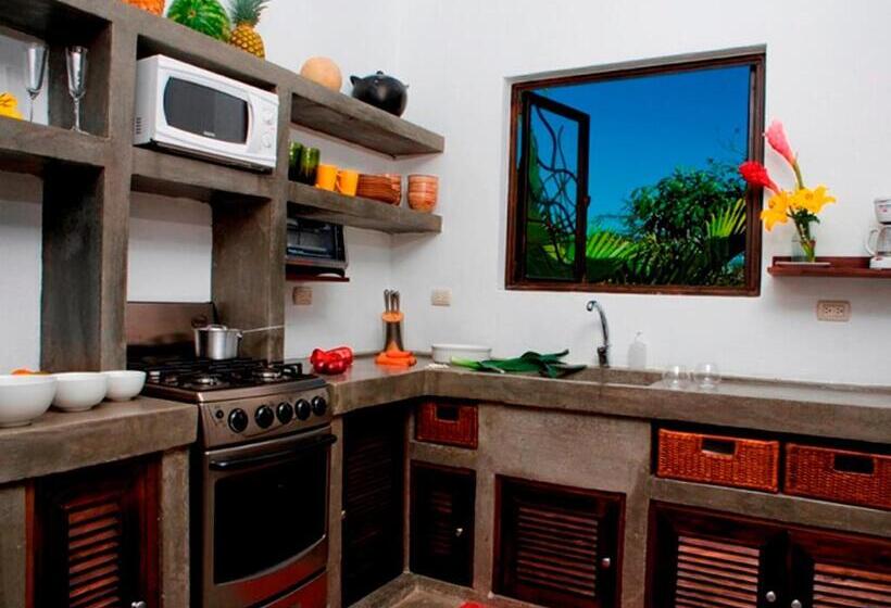 ویلا پریمیوم 1 خوابه, Casa Frangipani