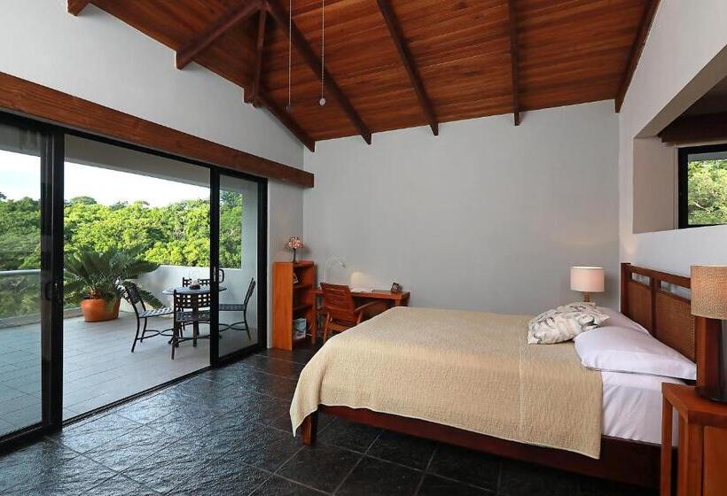 Студия Стандарт Вид на Море, Casa Frangipani