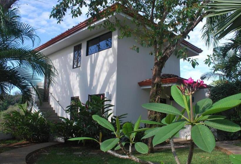 استودیوی استاندارد با چشمانداز دریا, Casa Frangipani