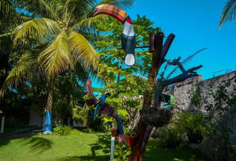 Шале 1 Спальня, Recanto Caiçara Pousada