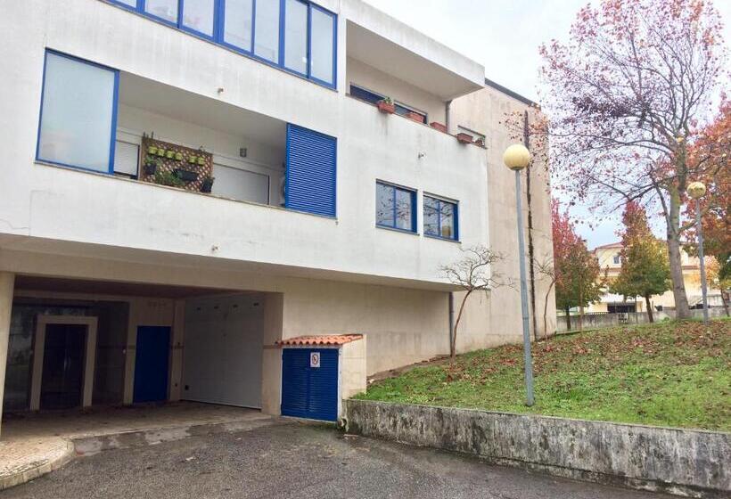 Одноместный Номер Basic, Templar Secrets House