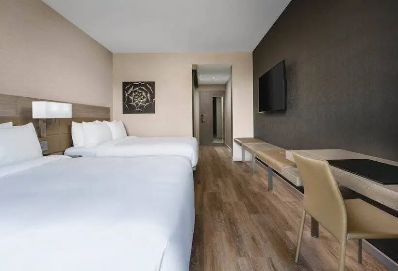 ２ダブルベッドのスタンダードルーム, Ac Hotel By Marriott Scottsdale North