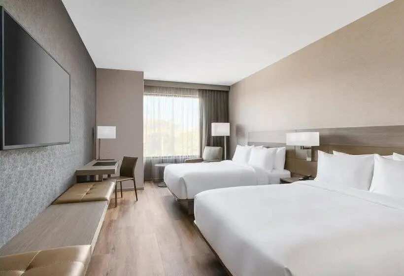 ２ダブルベッドのスタンダードルーム, Ac Hotel By Marriott Scottsdale North