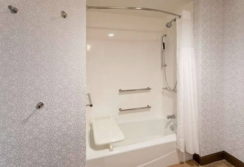 身障者適用ダブルベッド付きスタンダードルーム, Hampton Inn Eden Prairie Minneapolis
