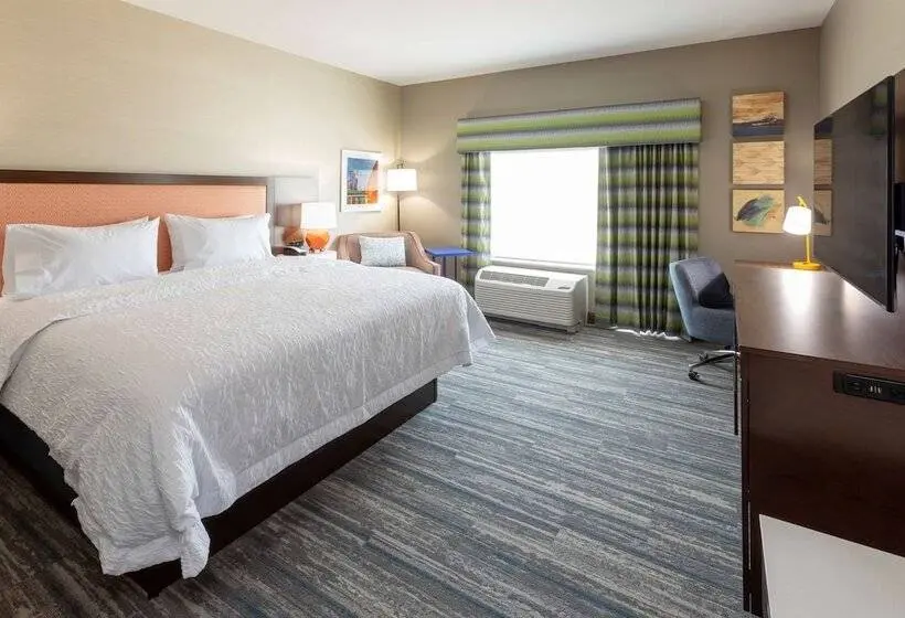 身障者適用ダブルベッド付きスタンダードルーム, Hampton Inn Eden Prairie Minneapolis