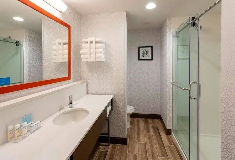 身障者適用ダブルベッド付きスタンダードルーム, Hampton Inn Eden Prairie Minneapolis