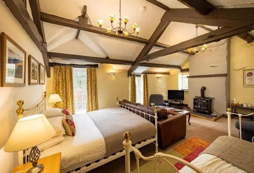 Family Room, Badger Bar
