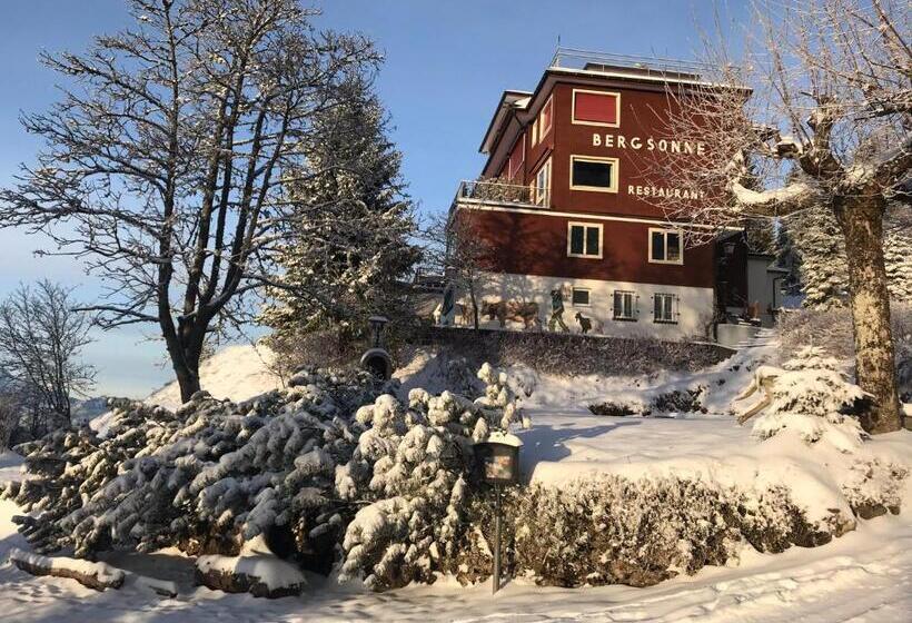 Номер Deluxe Вид на Озеро, Bergsonne Rigi