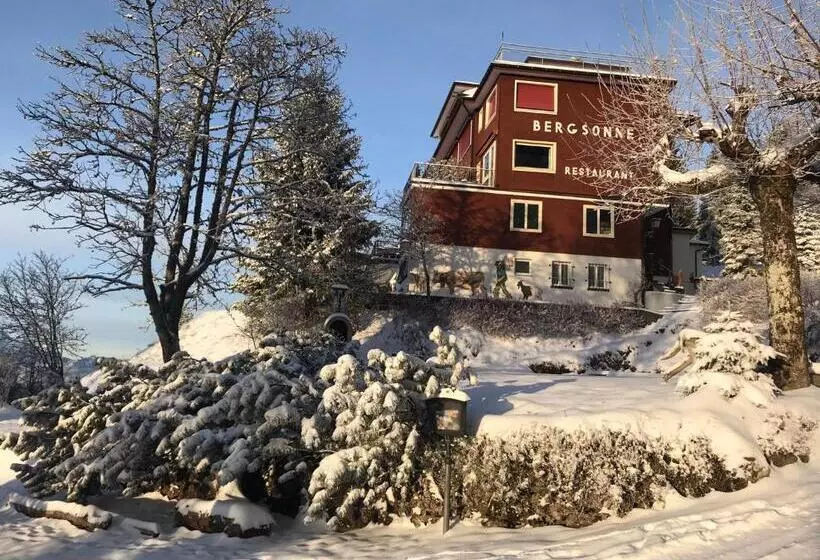 レイクビューデラックスルーム, Bergsonne Rigi