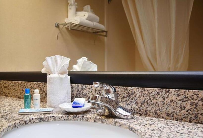 غرفة قياسية سرير كينج لذوى الإحتياجات الخاصة, Best Western Classic Inn