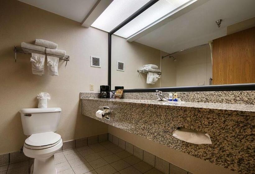 חדר סטנדרט, Best Western Classic Inn