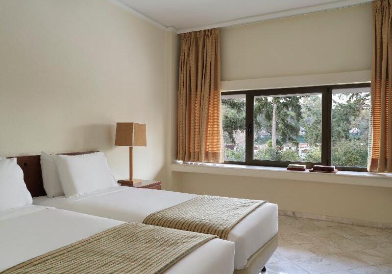 חדר אקונומי, Kalamaki Beach Resort