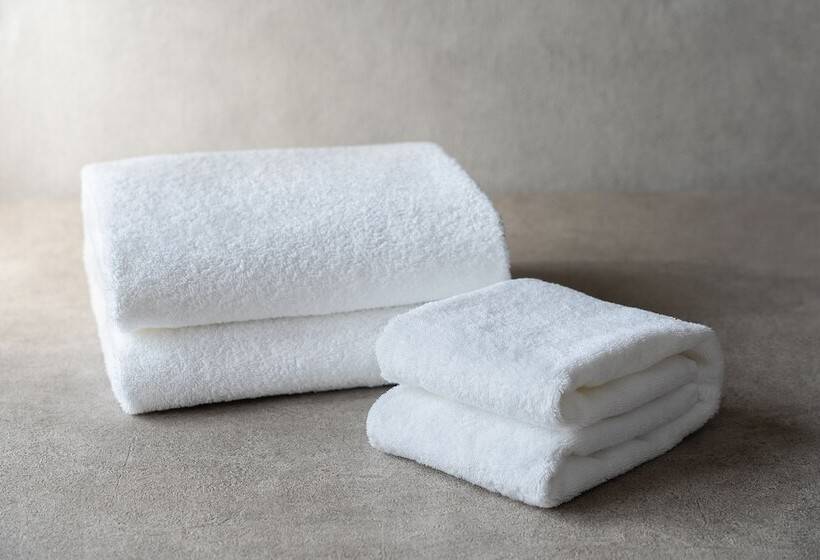 غرفة قياسية, Mercure Toyama Tonami Resort & Spa