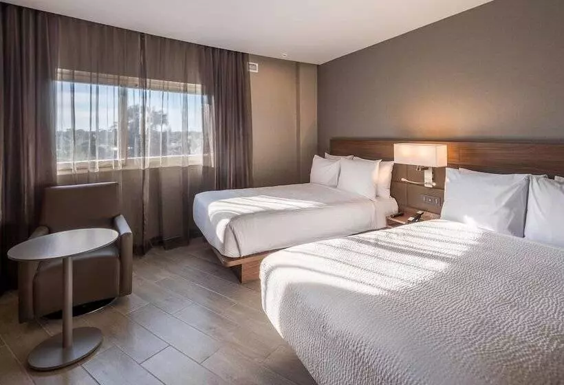 ２ダブルベッドのスタンダードルーム, Ac Hotel By Marriott Guadalajara Expo